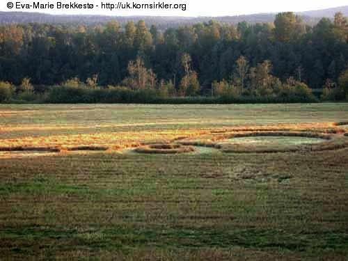 Crop circle