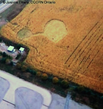 Crop circle