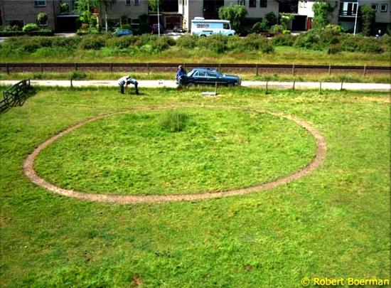 Crop circle