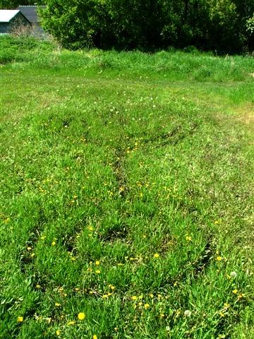 Crop circle