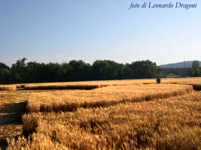 Crop circle
