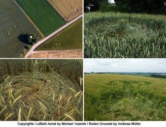 Crop circle
