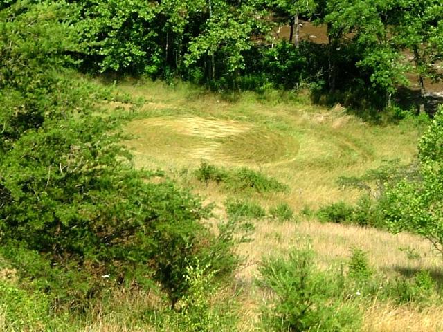 Crop circle