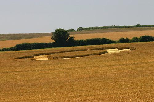 Crop circle