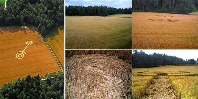 Crop circle