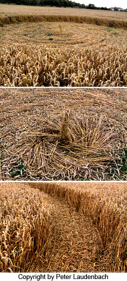 Crop circle