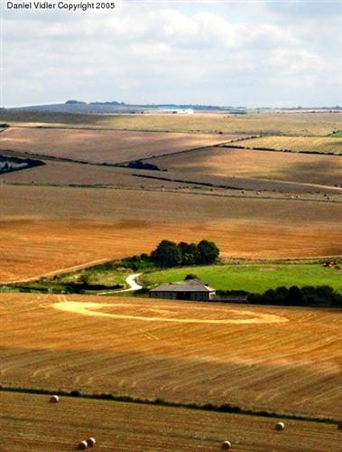 Crop circle