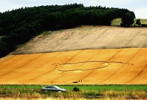 Crop circle