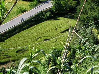 Crop circle