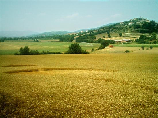 Crop circle