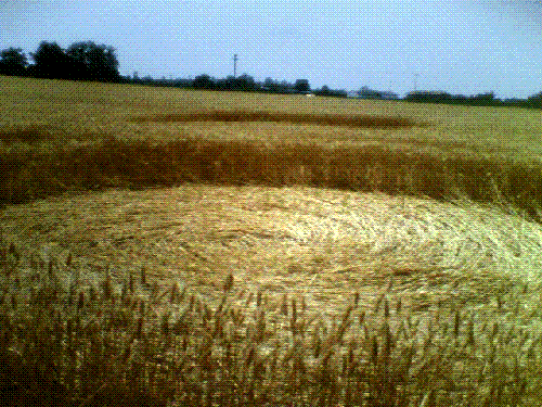 Crop circle