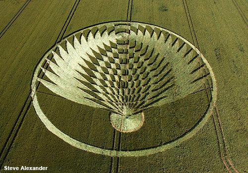 Crop circle