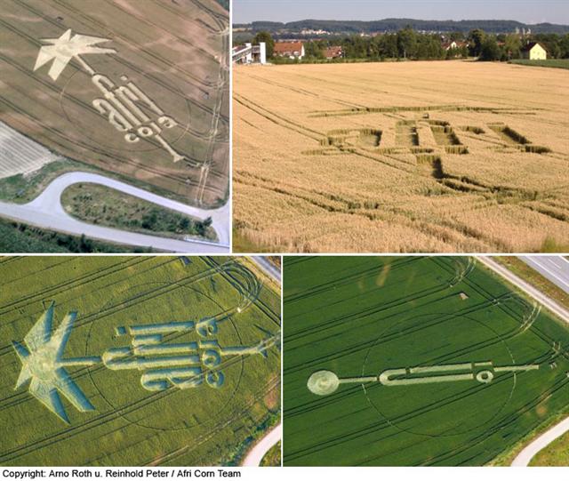 Crop circle