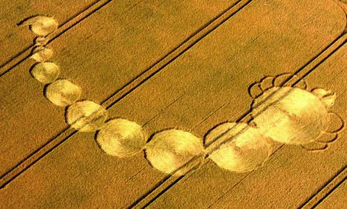 Crop circle
