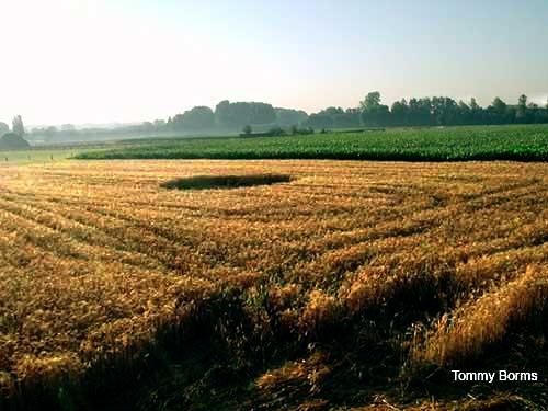 Crop circle