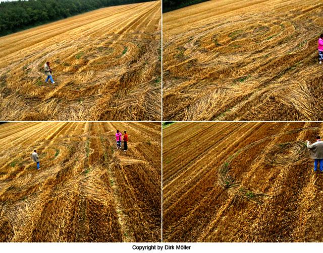 Crop circle