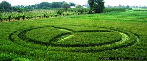 Crop circle