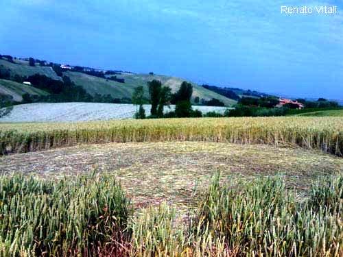 Crop circle