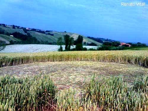 Crop circle