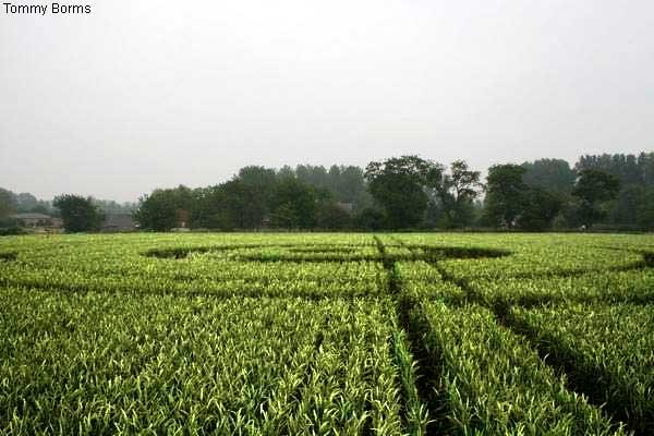 Crop circle