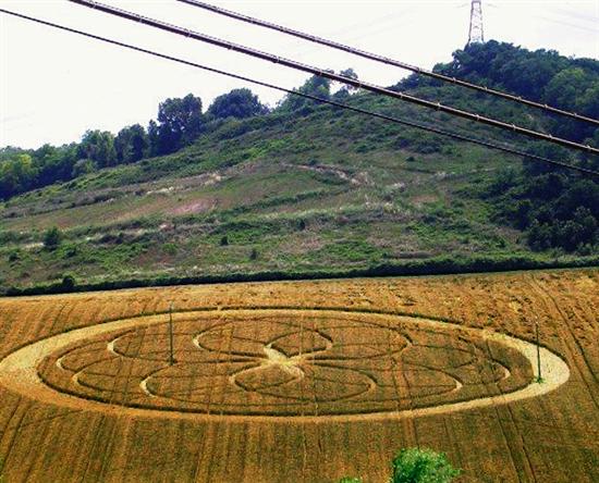 Crop circle