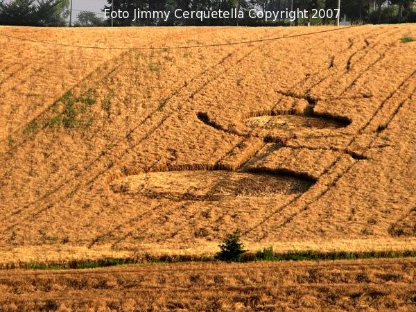 Crop circle