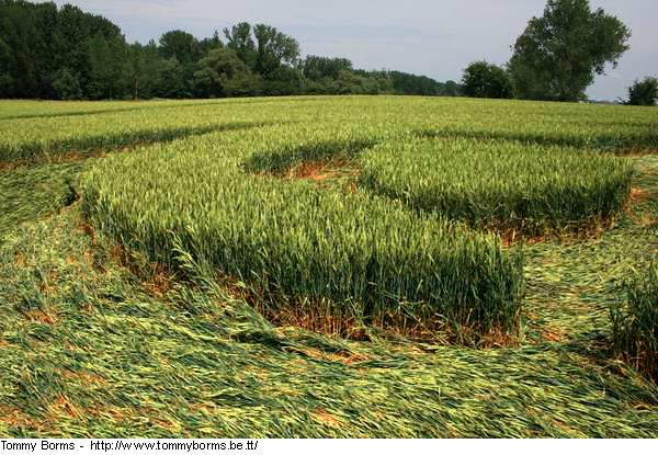 Crop circle