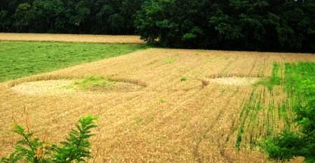 Crop circle