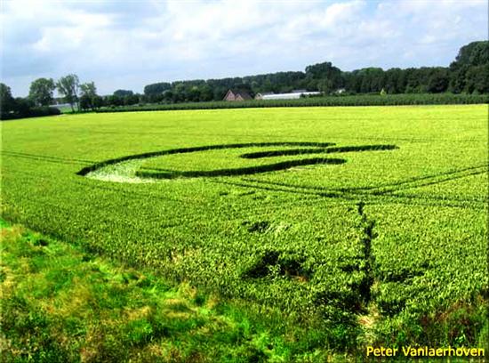 Crop circle