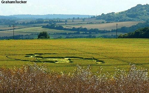 Crop circle