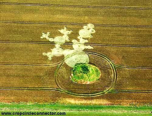 Crop circle