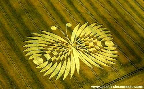 Crop circle