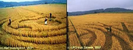 Crop circle