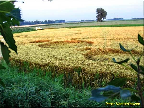 Crop circle