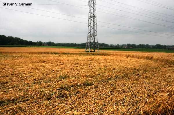 Crop circle