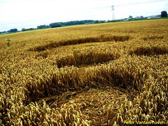 Crop circle