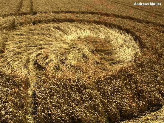 Crop circle