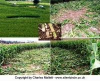 Crop circle