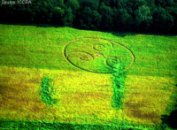 Crop circle