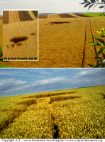 Crop circle