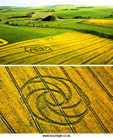 Crop circle