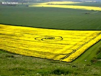 Crop circle