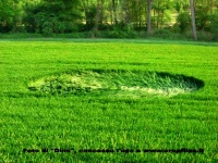 Crop circle