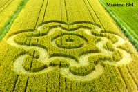 Crop circle