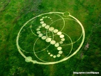 Crop circle