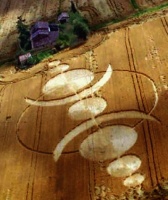 Crop circle