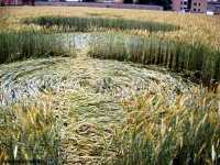 Crop circle