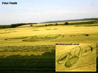 Crop circle