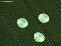 Crop circle