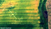 Crop circle